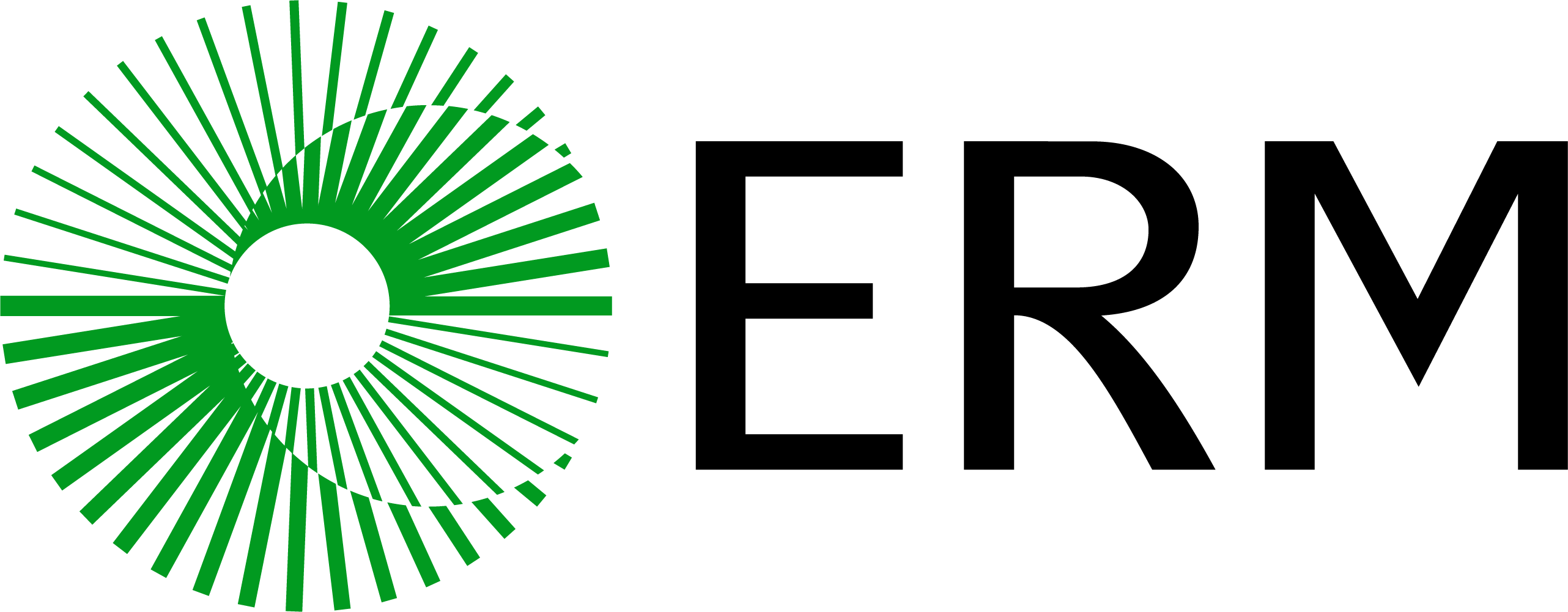 The logo of our principal sponsor, Salesforce developers.