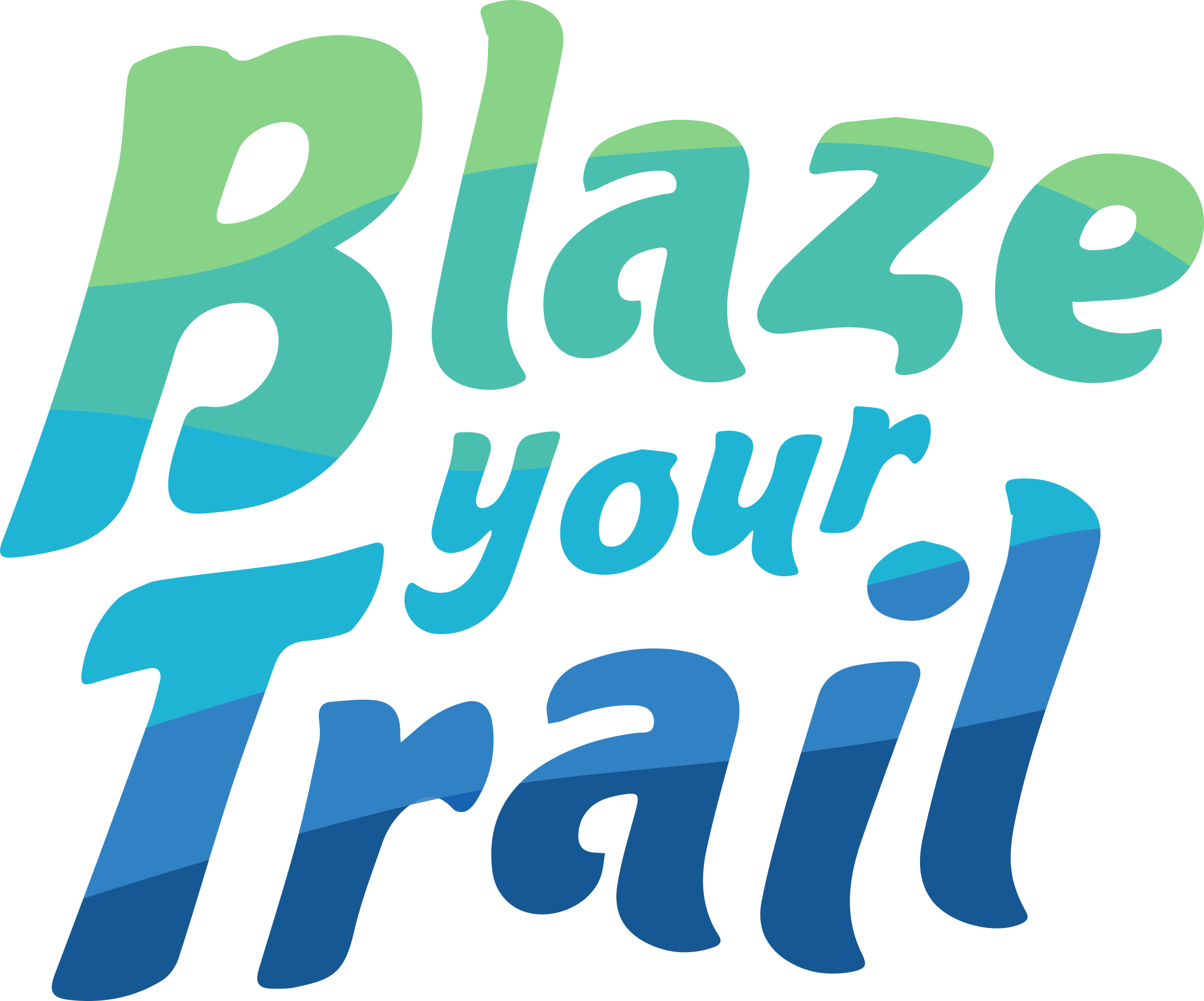 The logo of our principal sponsor, Salesforce developers.