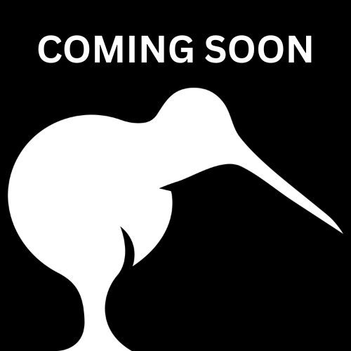 The logo of our principal sponsor, Salesforce developers.